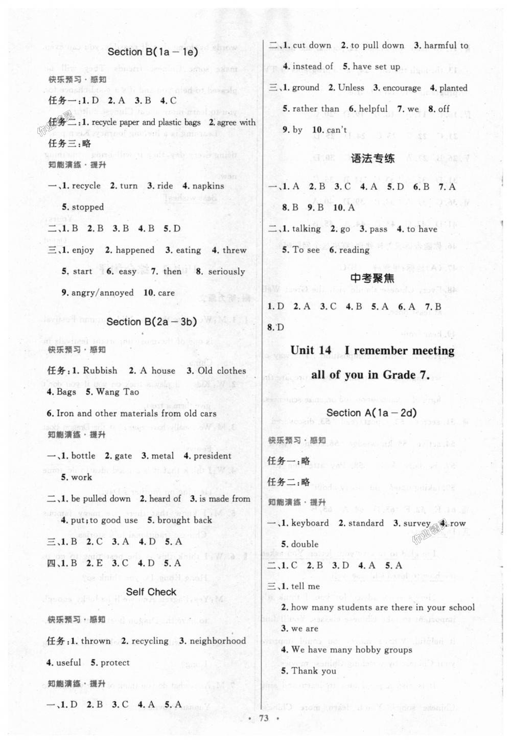 2018年初中同步測控優(yōu)化設(shè)計九年級英語全一冊人教版 第17頁