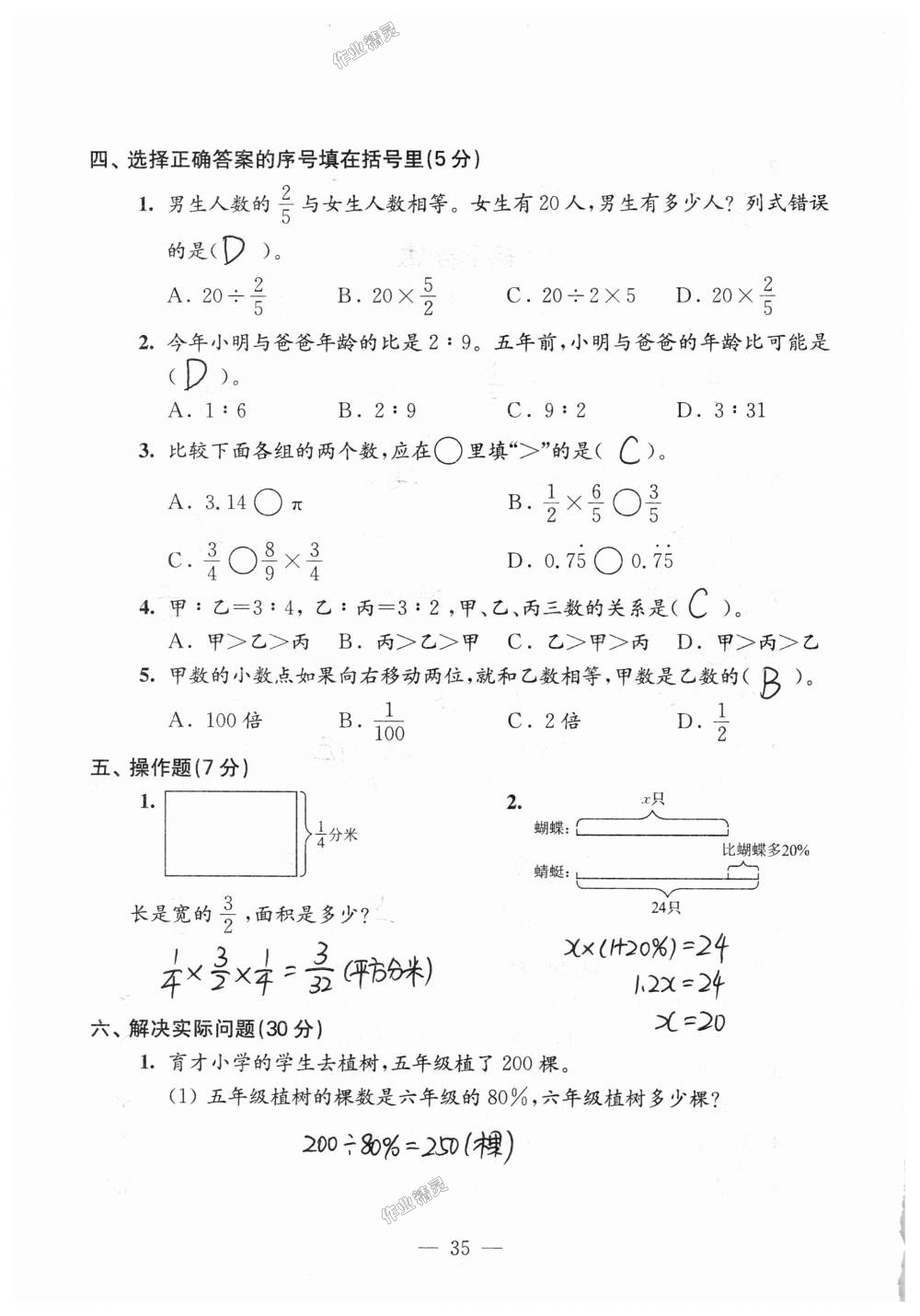 2018年練習(xí)與測試檢測卷六年級數(shù)學(xué)上冊蘇教版 第35頁