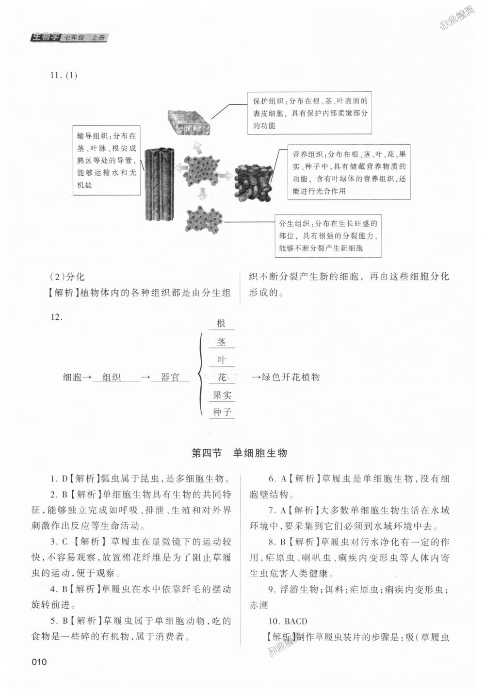 2018年學(xué)習(xí)質(zhì)量監(jiān)測(cè)七年級(jí)生物學(xué)上冊(cè)人教版 第10頁