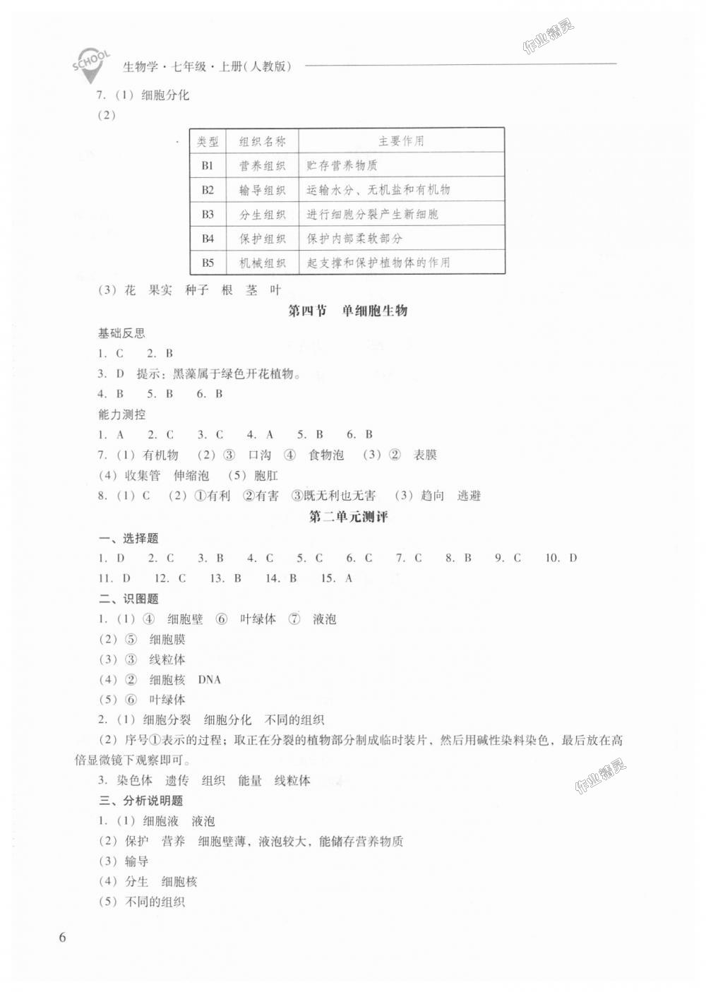 2018年新課程問題解決導(dǎo)學(xué)方案七年級生物學(xué)上冊人教版 第6頁