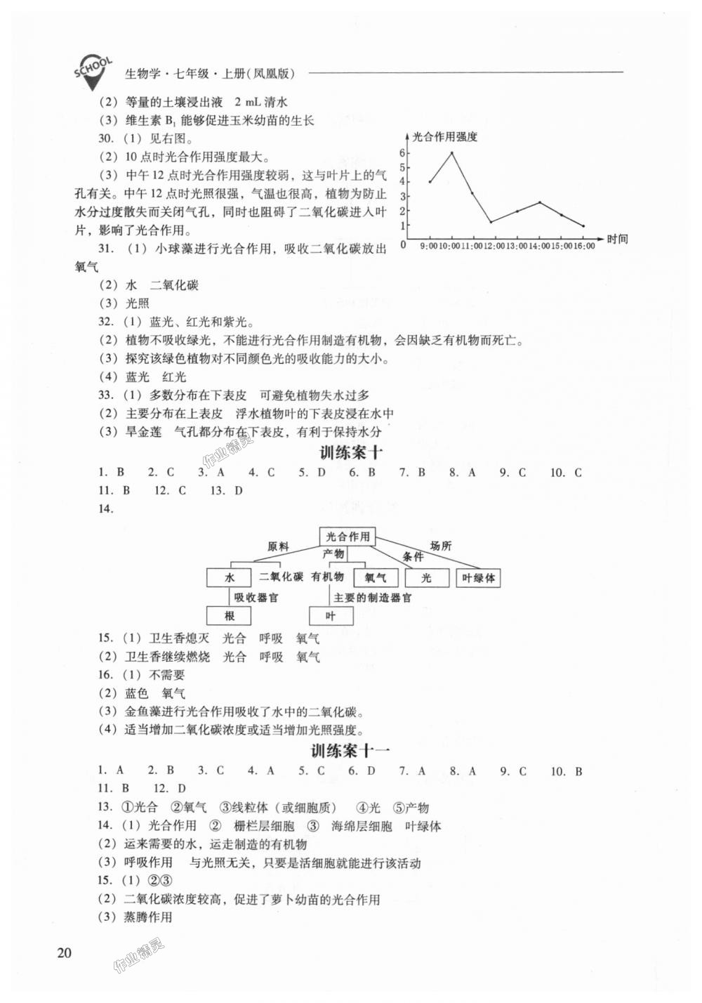 2018年新課程問題解決導學方案七年級生物學上冊鳳凰版 第20頁