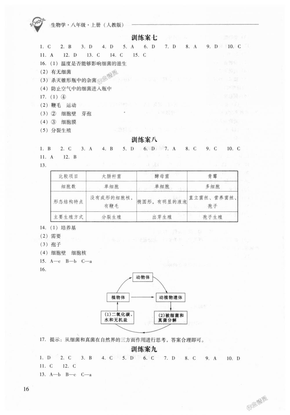 2018年新課程問題解決導學方案八年級生物學上冊人教版 第16頁