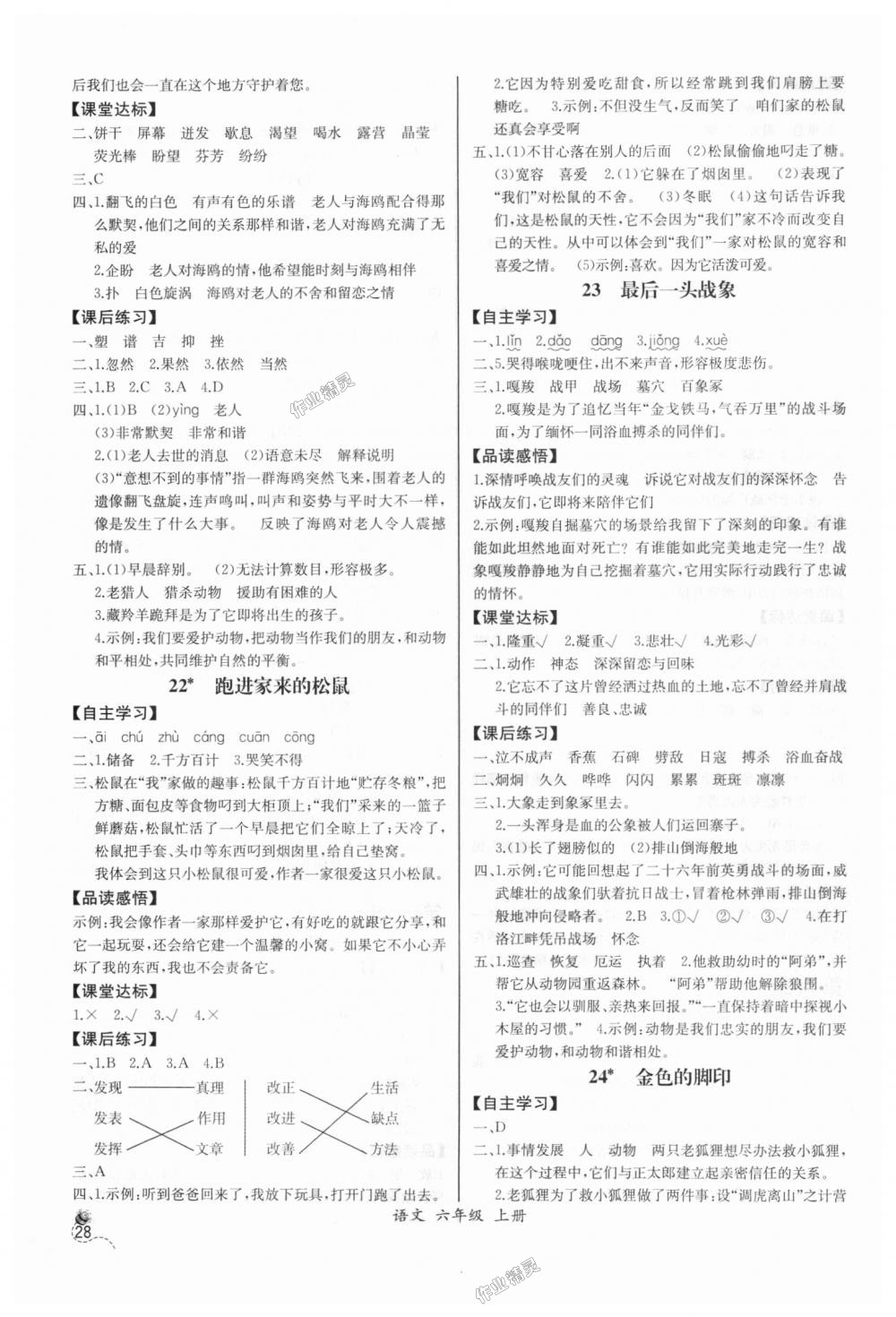 2018年同步导学案课时练六年级语文上册人教版河北专版 第8页