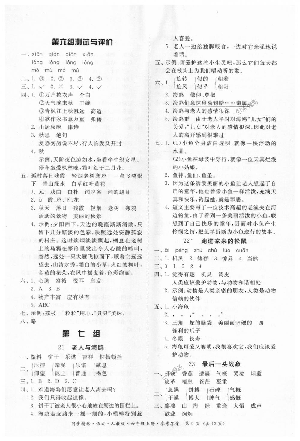 2018年同步精練六年級(jí)語(yǔ)文上冊(cè)人教版 第9頁(yè)