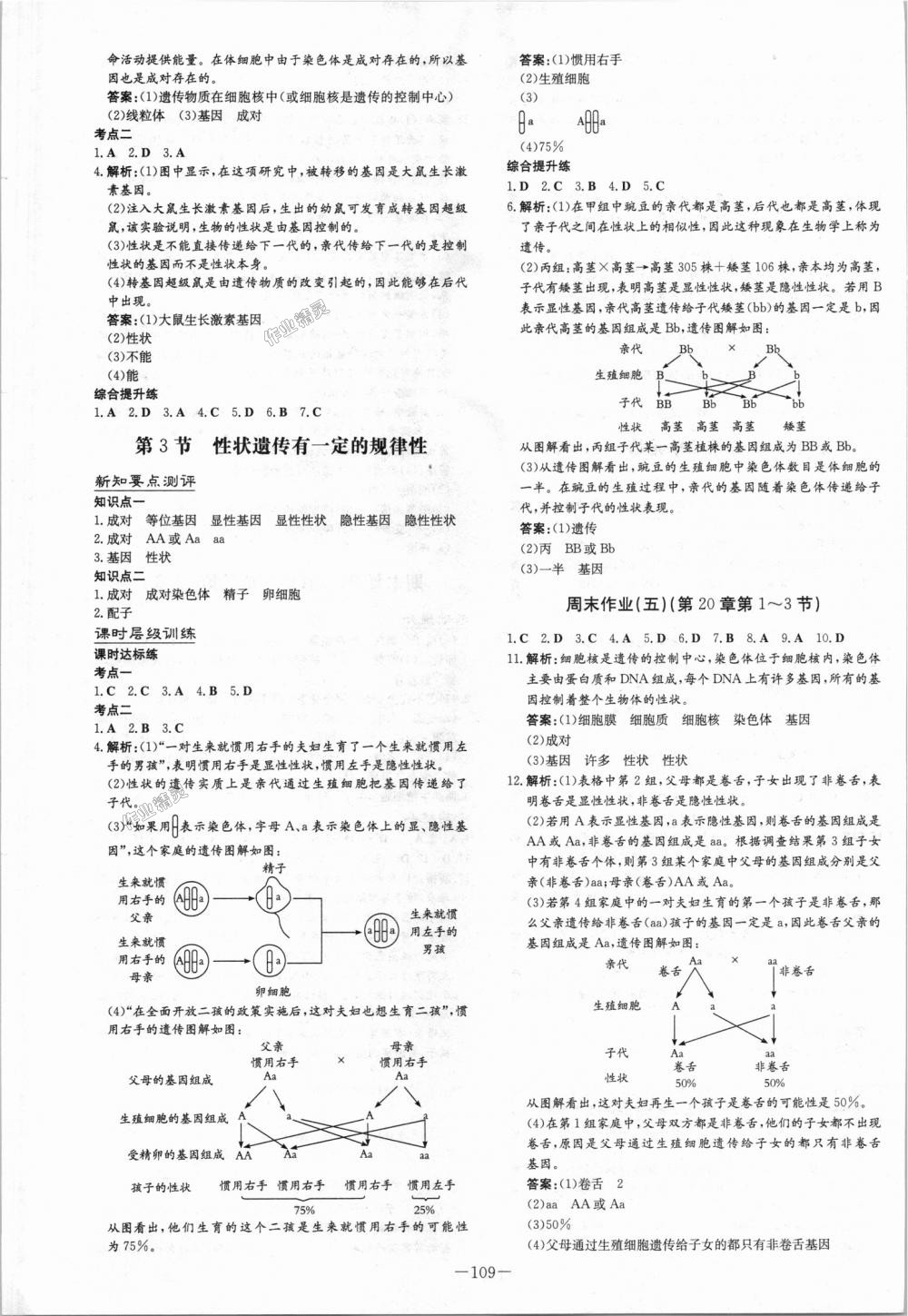 2018年練案課時(shí)作業(yè)本八年級生物上冊北師大版 第9頁