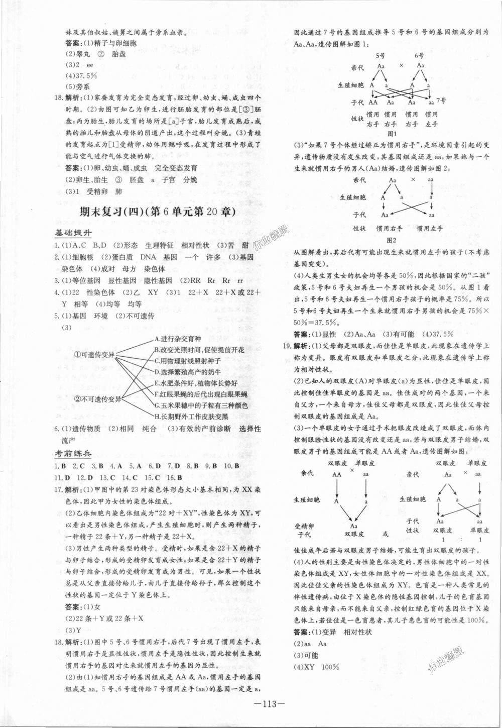 2018年練案課時(shí)作業(yè)本八年級生物上冊北師大版 第13頁