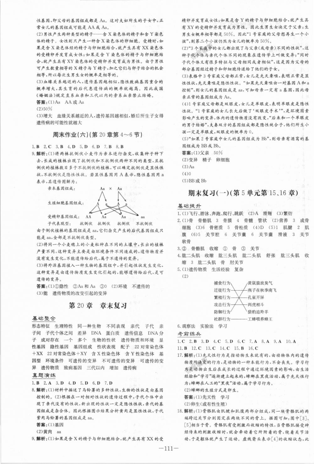 2018年練案課時作業(yè)本八年級生物上冊北師大版 第11頁