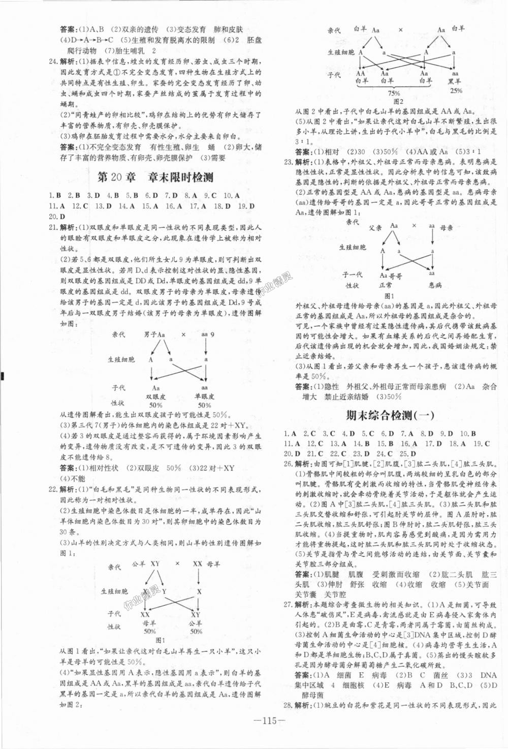 2018年練案課時(shí)作業(yè)本八年級(jí)生物上冊北師大版 第15頁