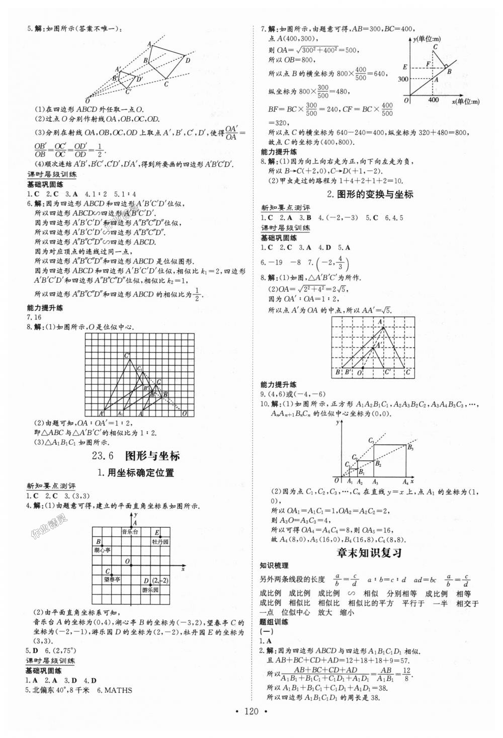 2018年練案課時(shí)作業(yè)本九年級(jí)數(shù)學(xué)上冊(cè)華師大版 第14頁(yè)