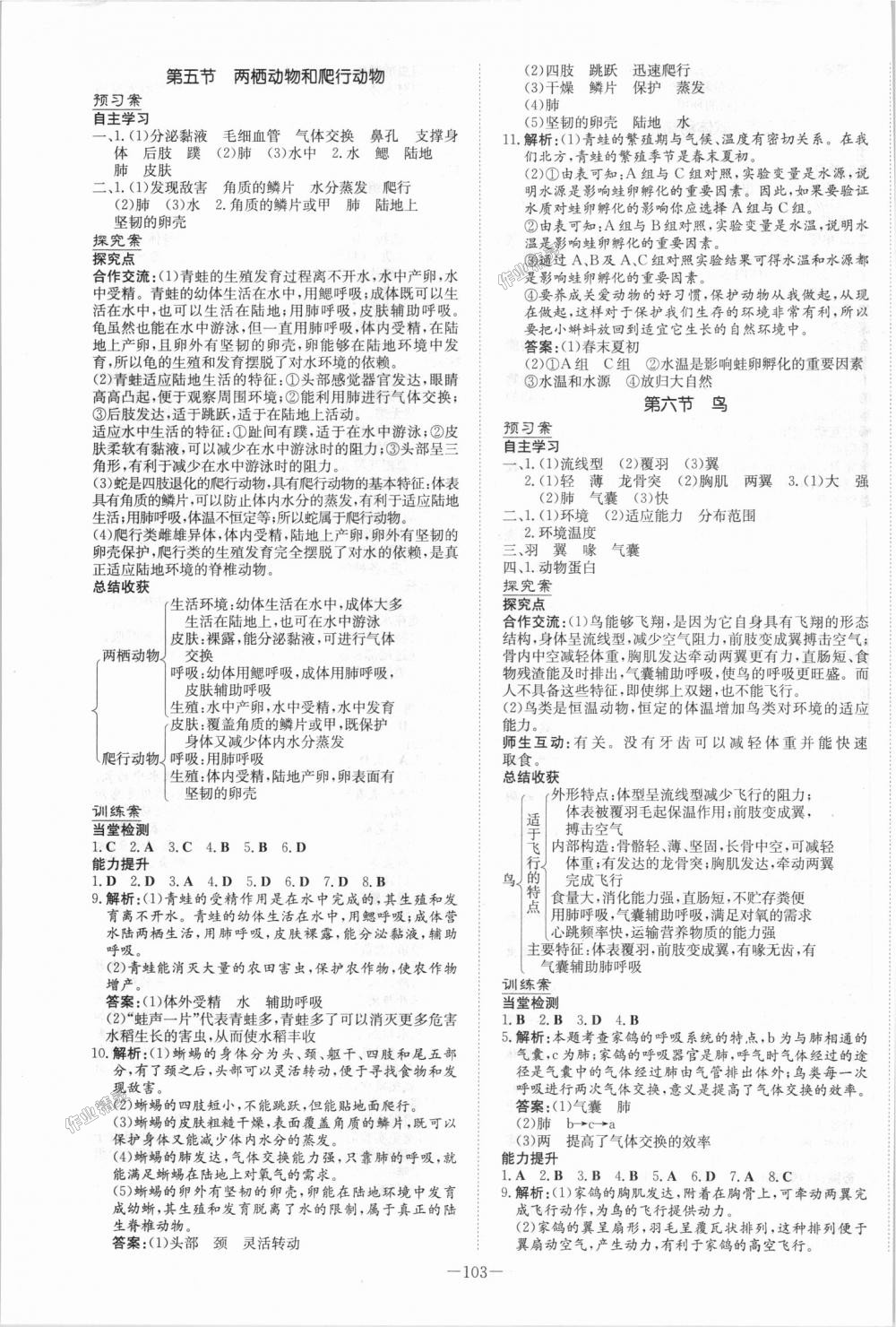 2018年初中同步學習導與練導學探究案八年級生物上冊人教版 第3頁