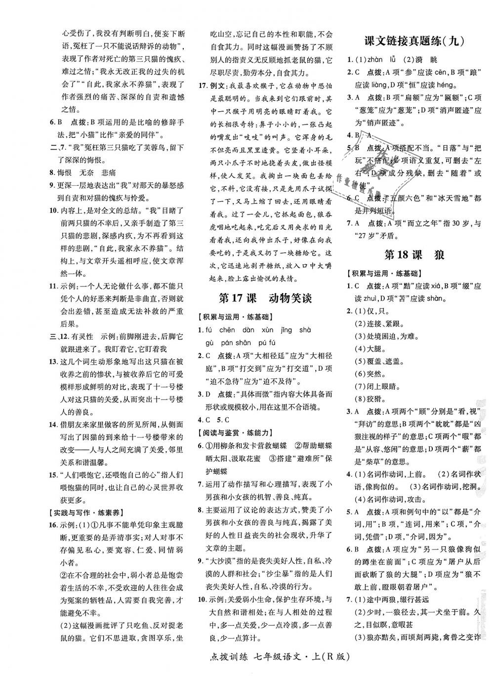 2018年點(diǎn)撥訓(xùn)練七年級(jí)語(yǔ)文上冊(cè)人教版 第17頁(yè)