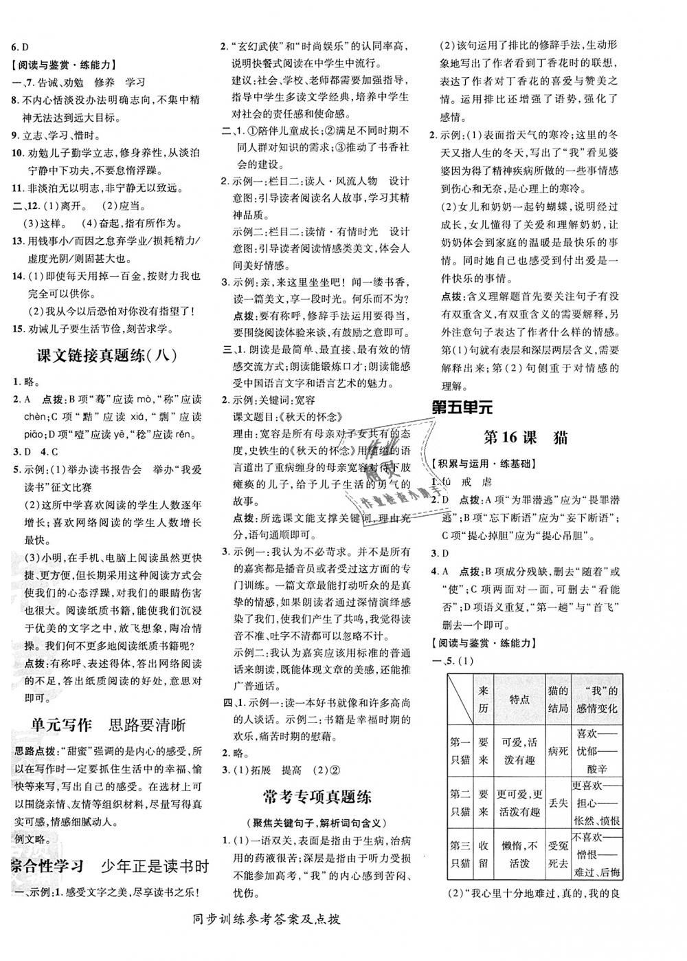 2018年點撥訓練七年級語文上冊人教版 第16頁