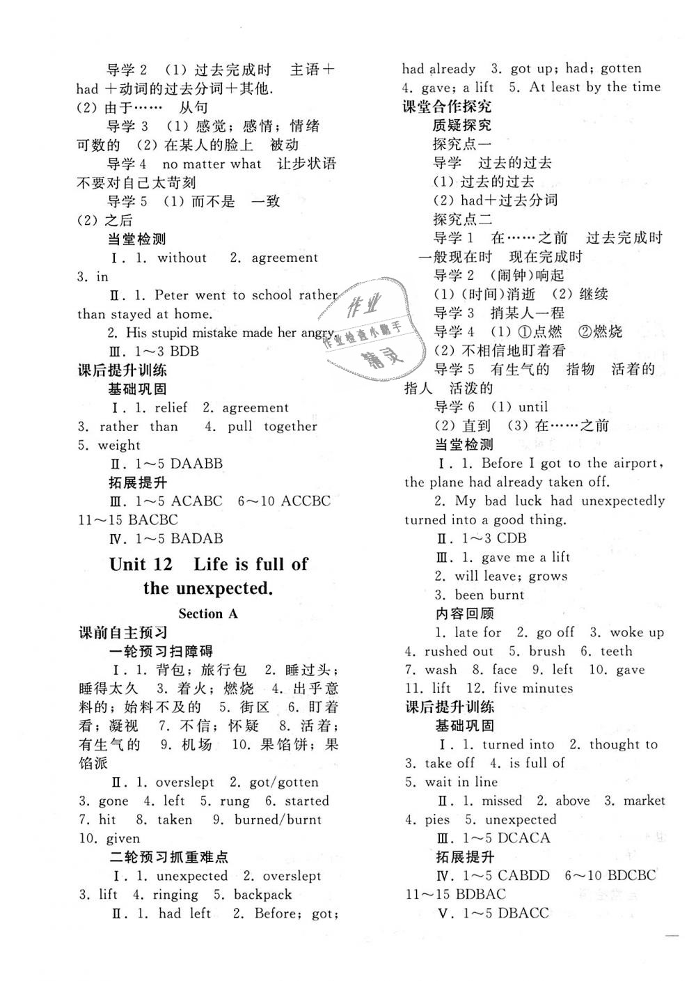 2018年同步轻松练习九年级英语全一册人教版 第15页