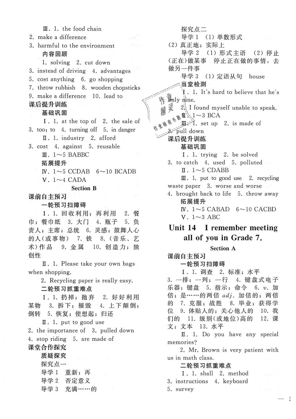 2018年同步轻松练习九年级英语全一册人教版 第17页