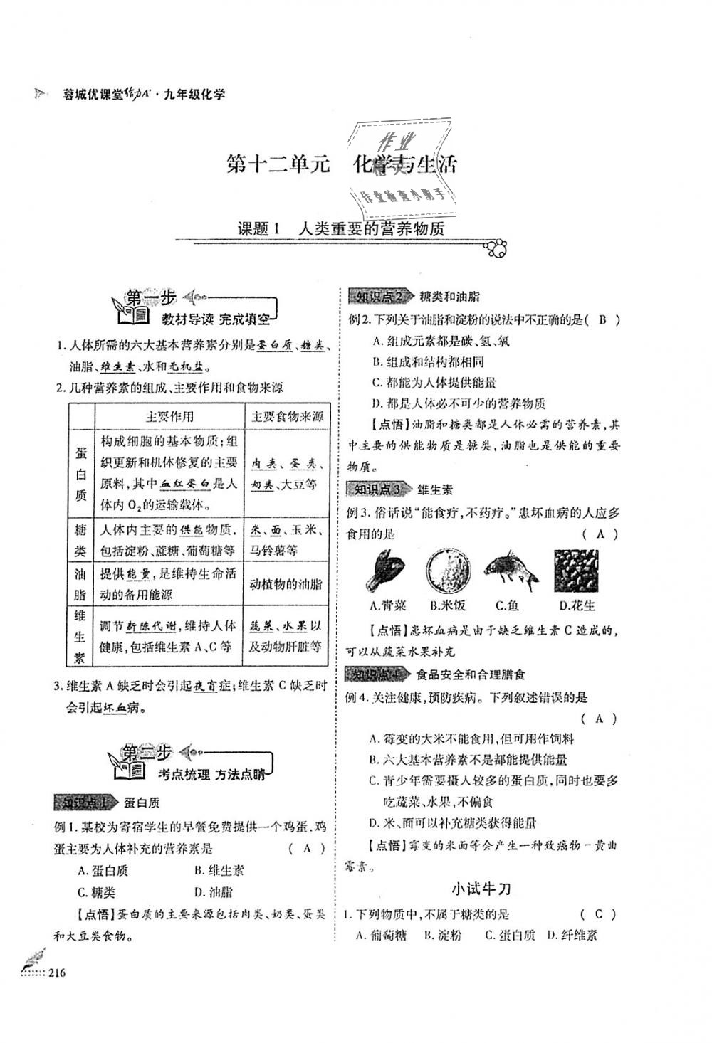 2018年蓉城优课堂给力A加九年级化学全一册人教版 第216页