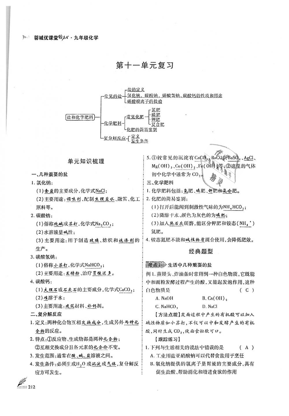 2018年蓉城优课堂给力A加九年级化学全一册人教版 第212页