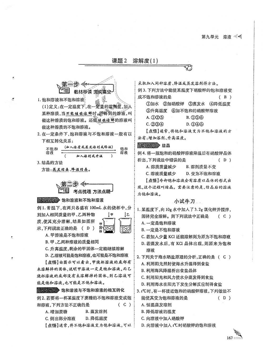 2018年蓉城優(yōu)課堂給力A加九年級(jí)化學(xué)全一冊(cè)人教版 第167頁(yè)