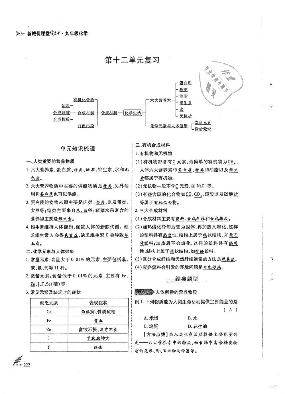 2018年蓉城優(yōu)課堂給力A加九年級(jí)化學(xué)全一冊(cè)人教版 第222頁(yè)