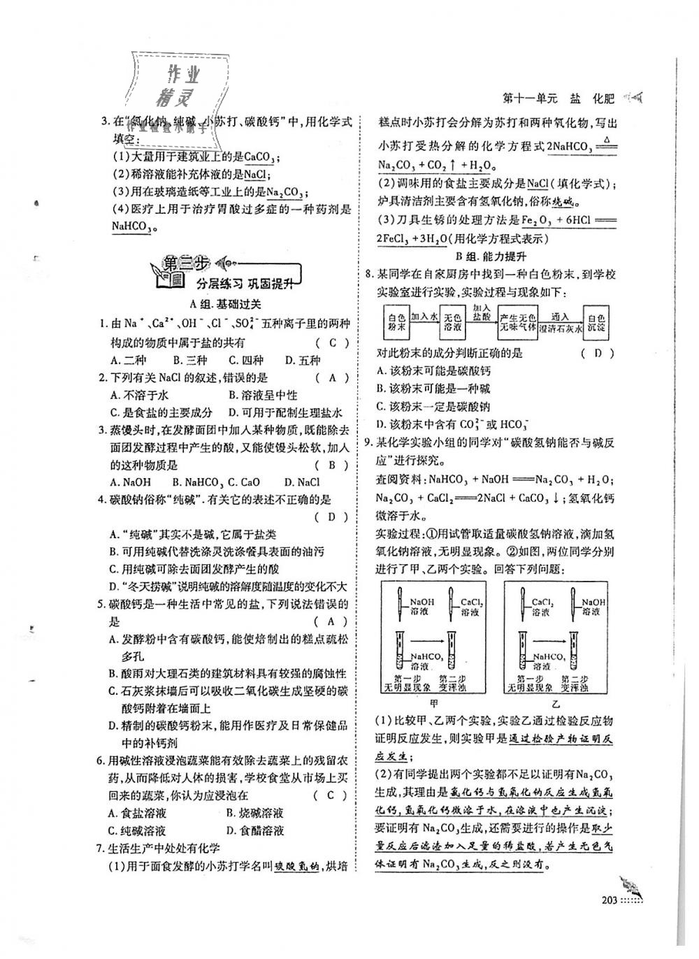 2018年蓉城優(yōu)課堂給力A加九年級(jí)化學(xué)全一冊(cè)人教版 第203頁(yè)