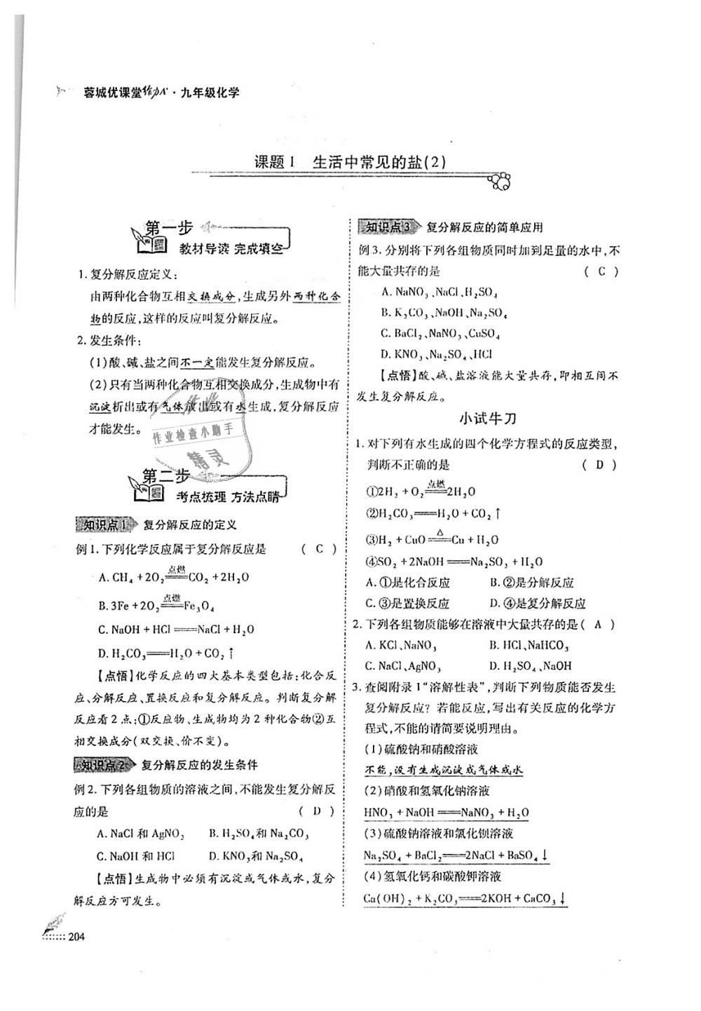 2018年蓉城優(yōu)課堂給力A加九年級化學(xué)全一冊人教版 第204頁