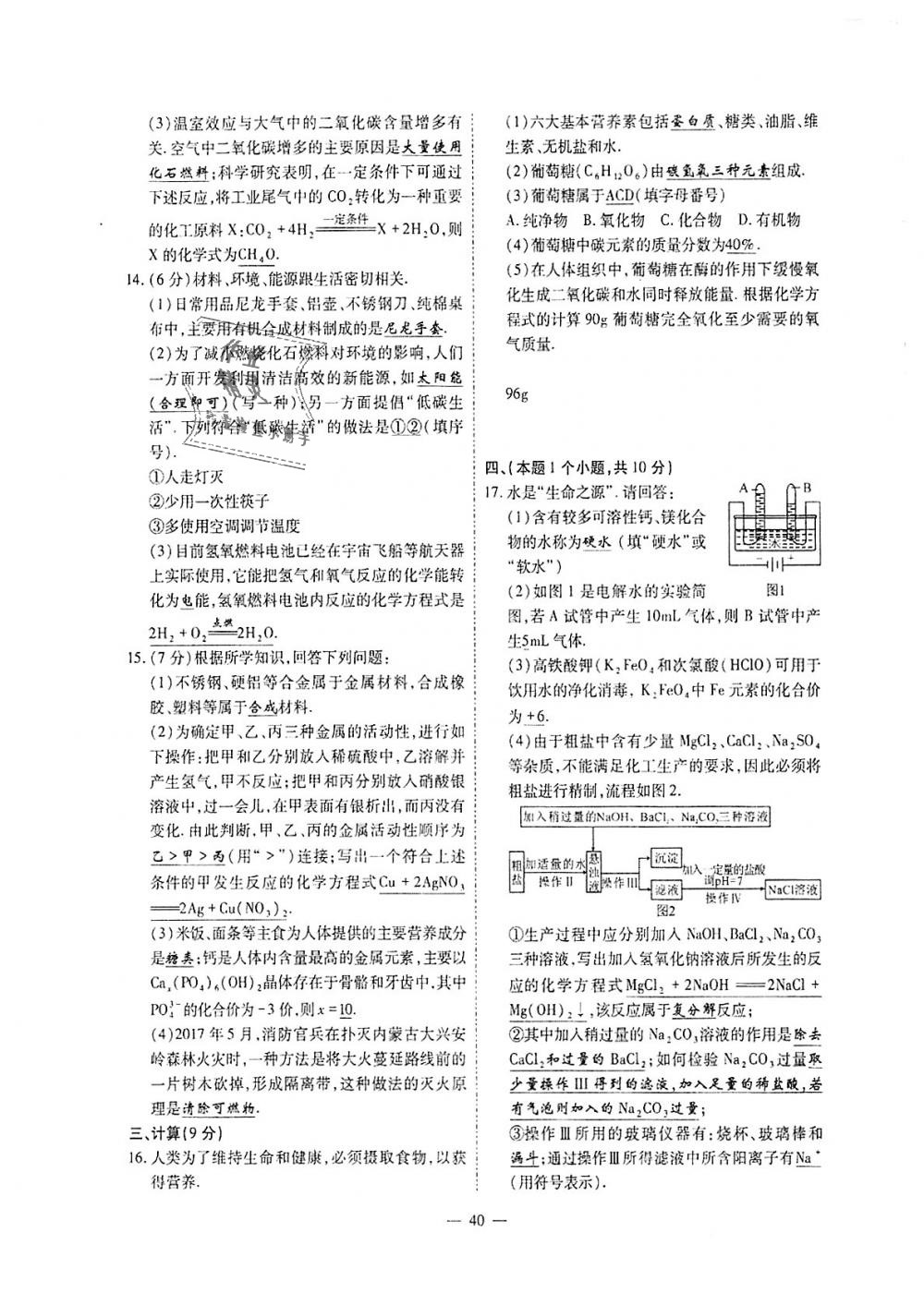 2018年蓉城优课堂给力A加九年级化学全一册人教版 第266页