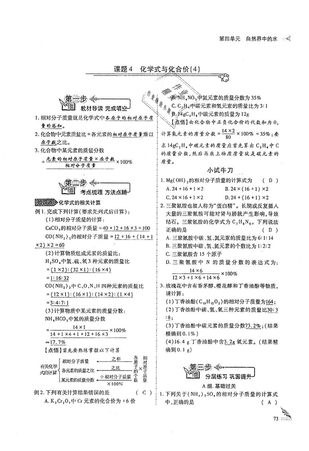 2018年蓉城优课堂给力A加九年级化学全一册人教版 第73页