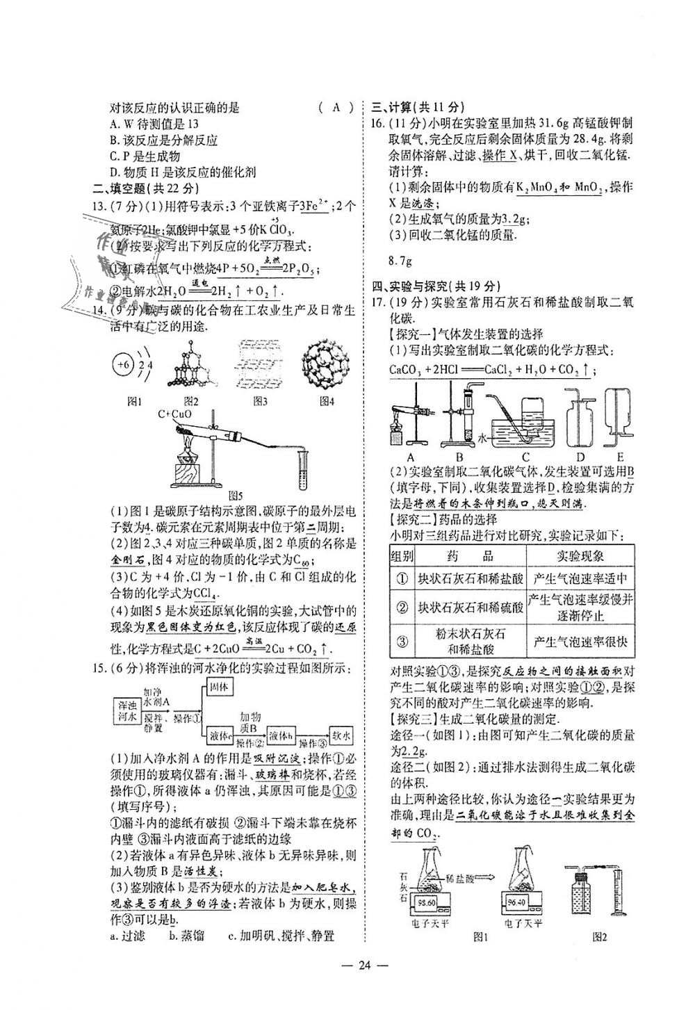 2018年蓉城优课堂给力A加九年级化学全一册人教版 第250页