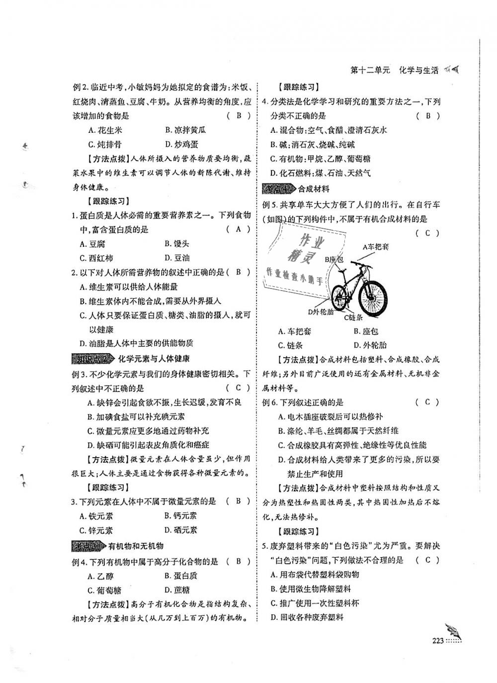 2018年蓉城優(yōu)課堂給力A加九年級(jí)化學(xué)全一冊(cè)人教版 第223頁(yè)