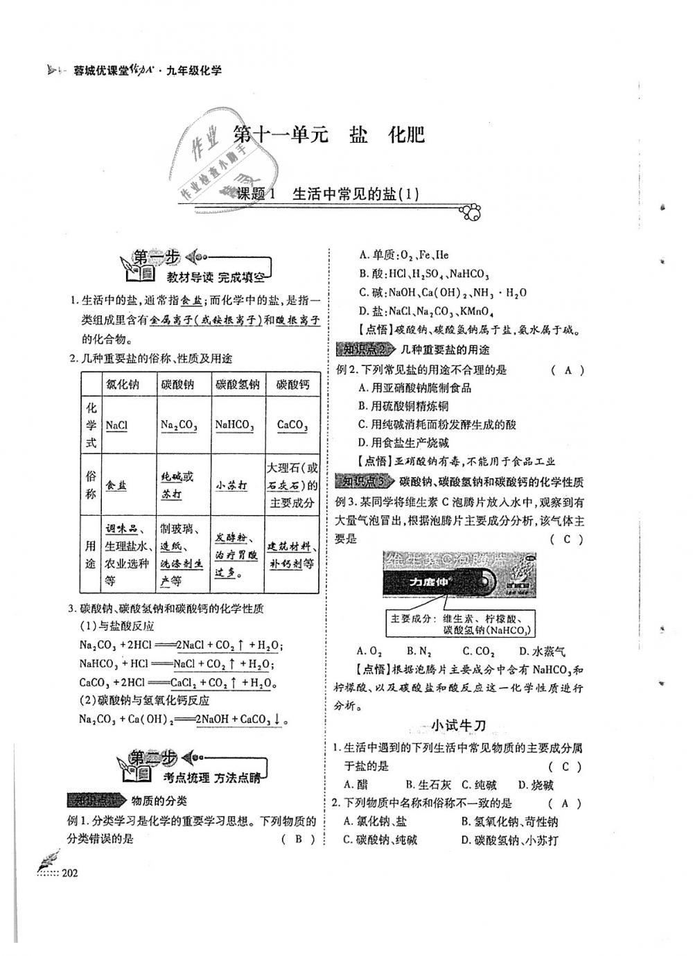 2018年蓉城優(yōu)課堂給力A加九年級(jí)化學(xué)全一冊(cè)人教版 第202頁(yè)