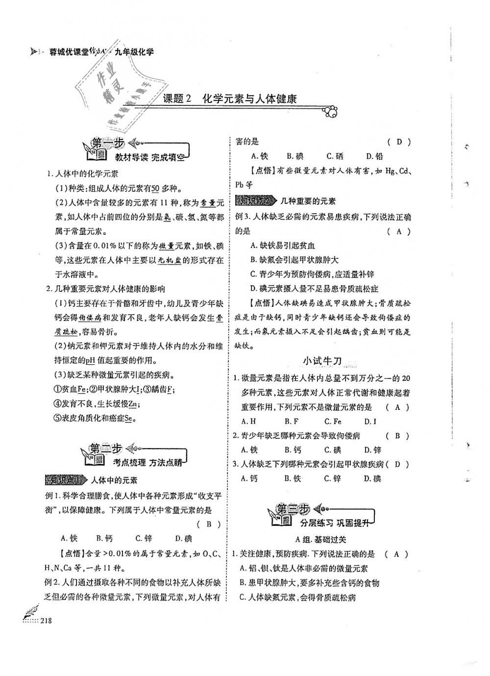 2018年蓉城優(yōu)課堂給力A加九年級化學全一冊人教版 第218頁