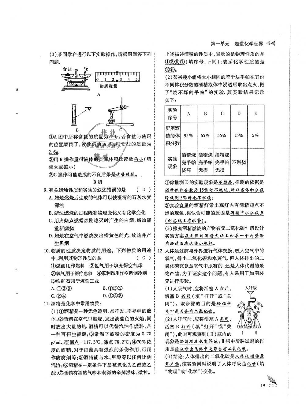 2018年蓉城优课堂给力A加九年级化学全一册人教版 第19页