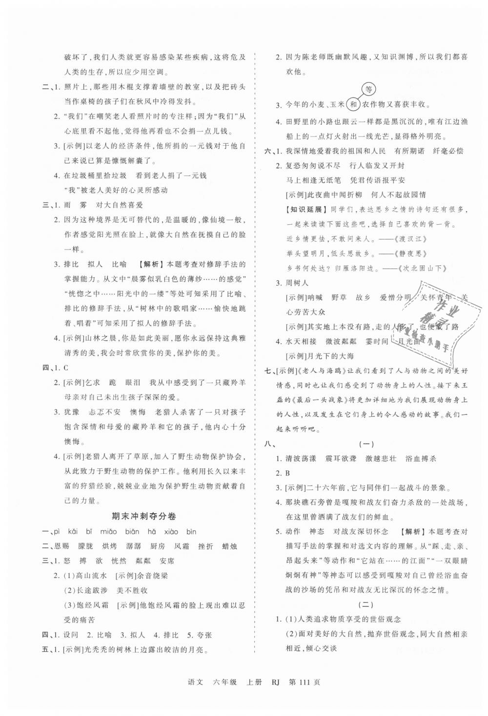 2018年王朝霞考点梳理时习卷六年级语文上册人教版 第15页