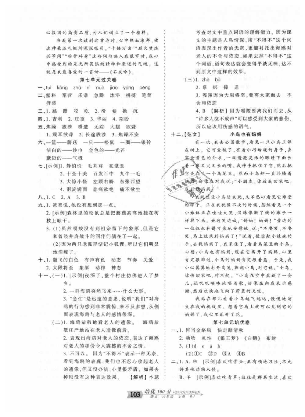 2018年王朝霞培優(yōu)100分六年級(jí)語(yǔ)文上冊(cè)人教版 第11頁(yè)