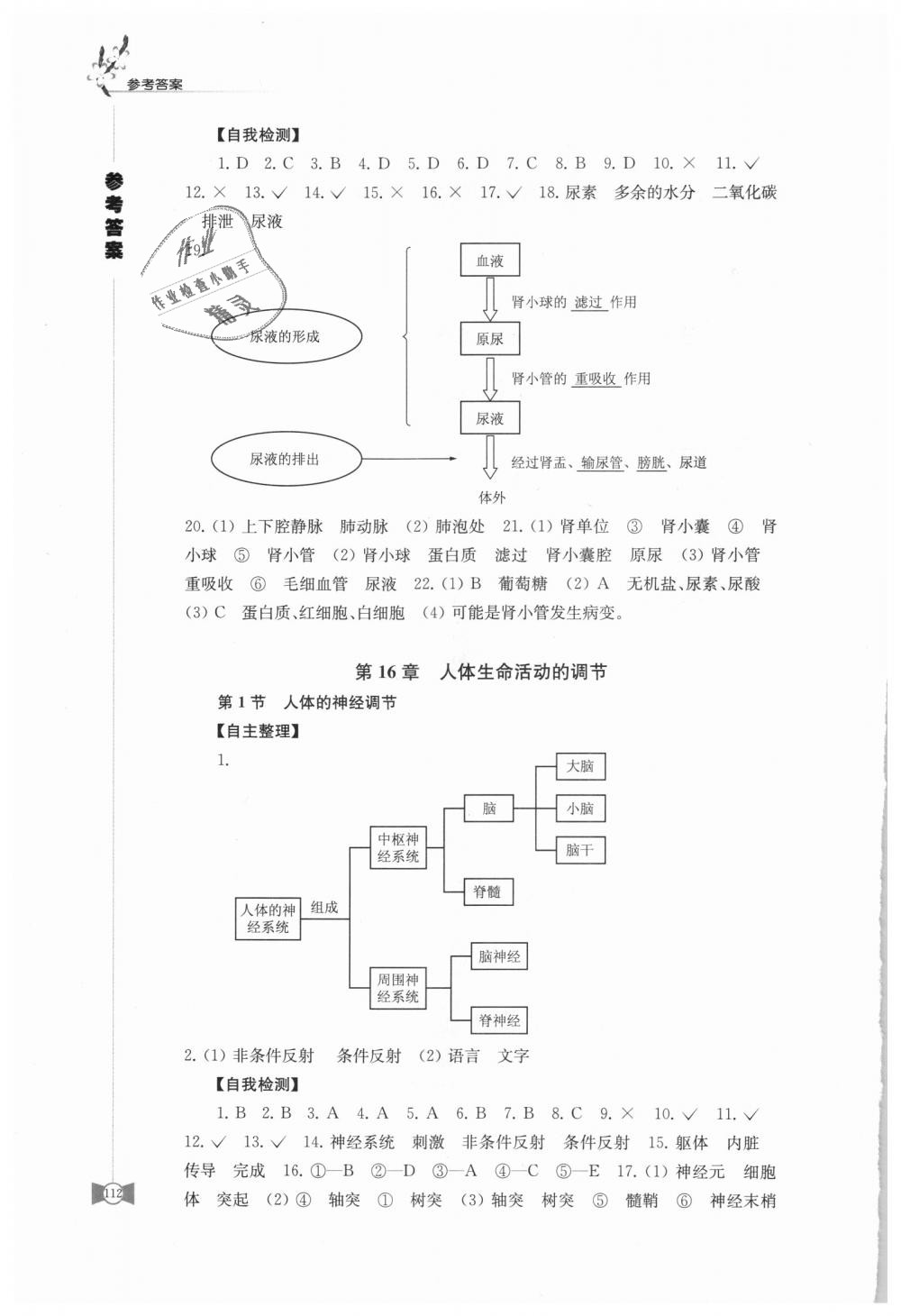 2018年學(xué)習(xí)與評價(jià)八年級生物學(xué)上冊蘇科版江蘇鳳凰教育出版社 第2頁