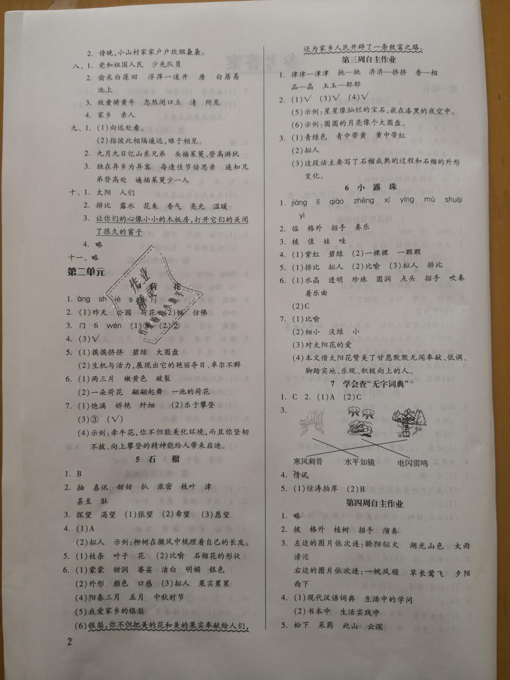 2018年新思維伴你學三年級語文上冊蘇教版 第2頁