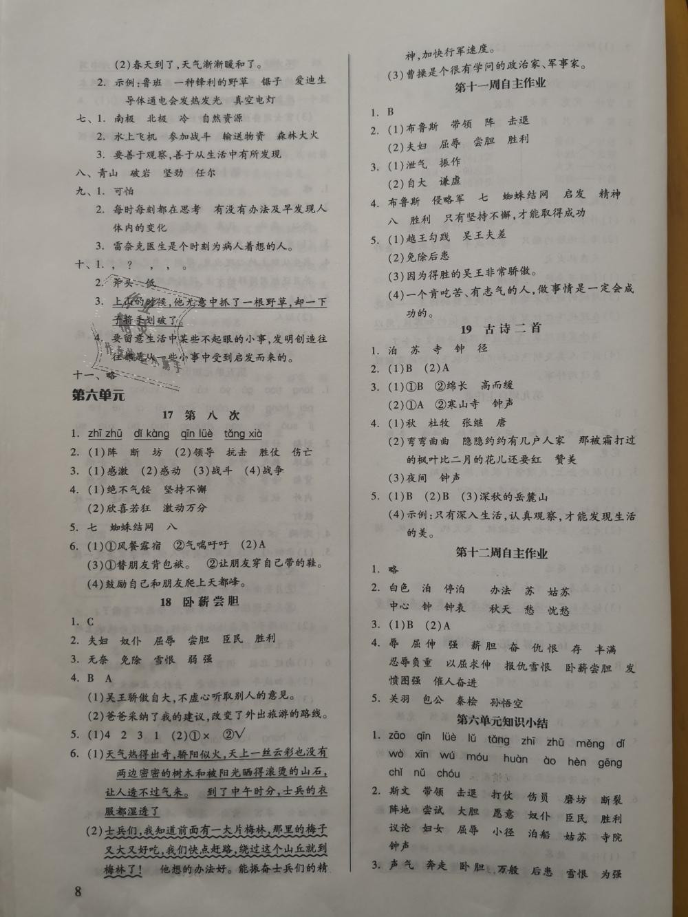 2018年新思維伴你學三年級語文上冊蘇教版 第8頁