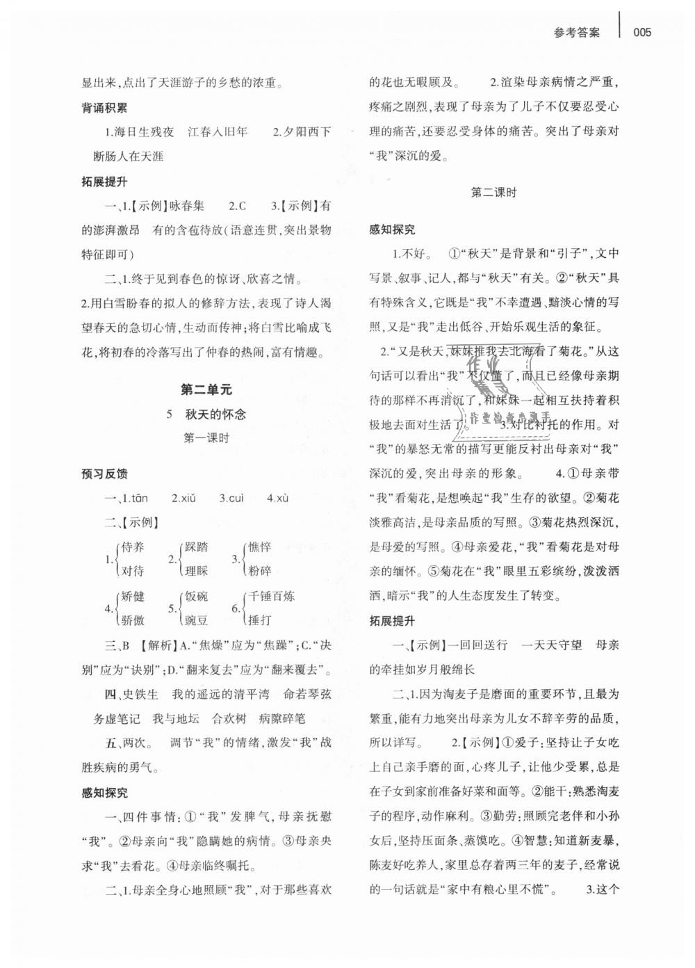 2018年基礎(chǔ)訓(xùn)練七年級(jí)語文上冊(cè)人教版僅限河南省使用大象出版社 第5頁