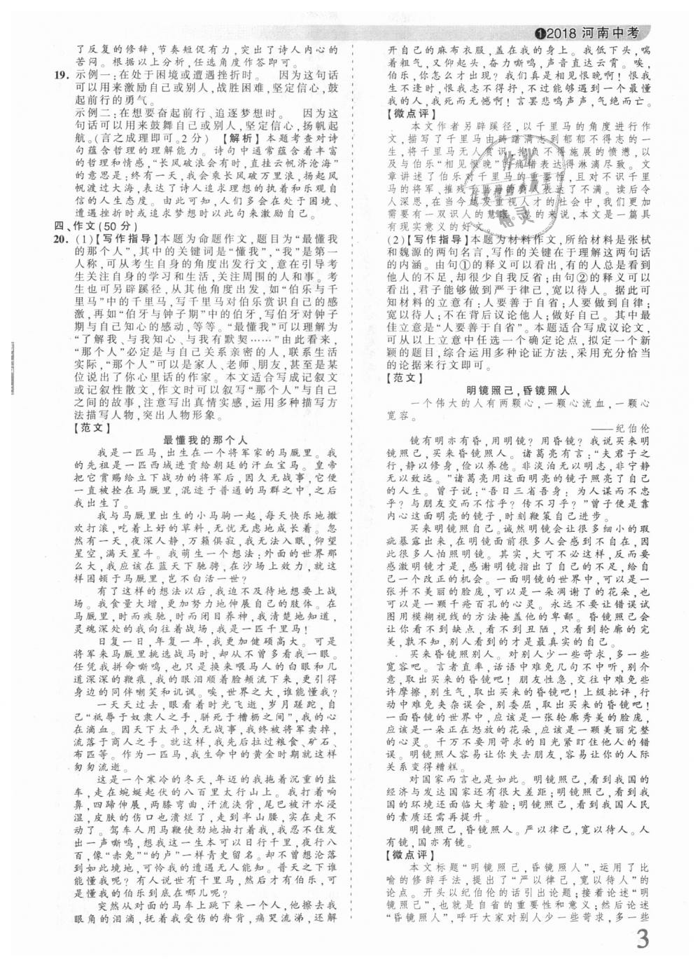 2018年王朝霞河南中考中考真題精編語文 第3頁