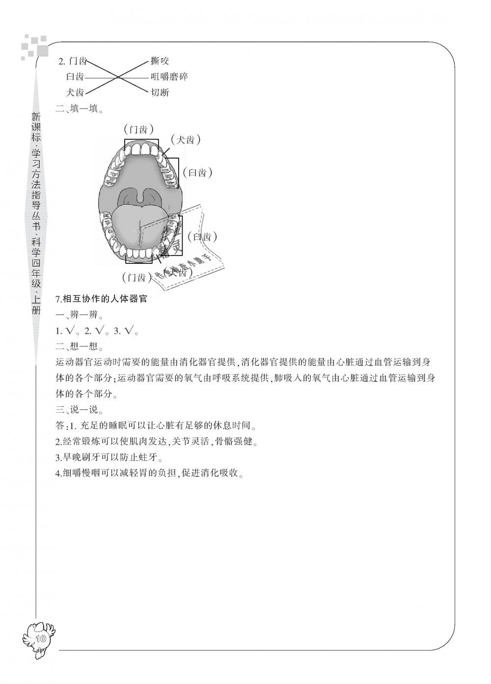 2018年新課標學習方法指導叢書四年級科學上冊教科版 第10頁