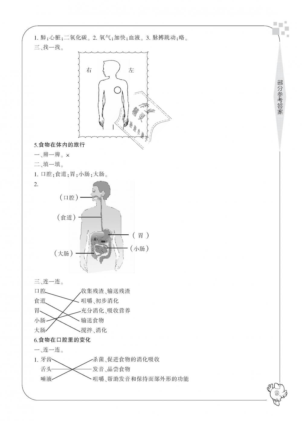 2018年新課標(biāo)學(xué)習(xí)方法指導(dǎo)叢書四年級科學(xué)上冊教科版 第9頁