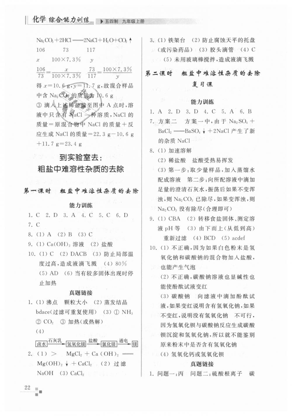 2018年綜合能力訓(xùn)練九年級化學(xué)上冊魯教版五四制 第22頁