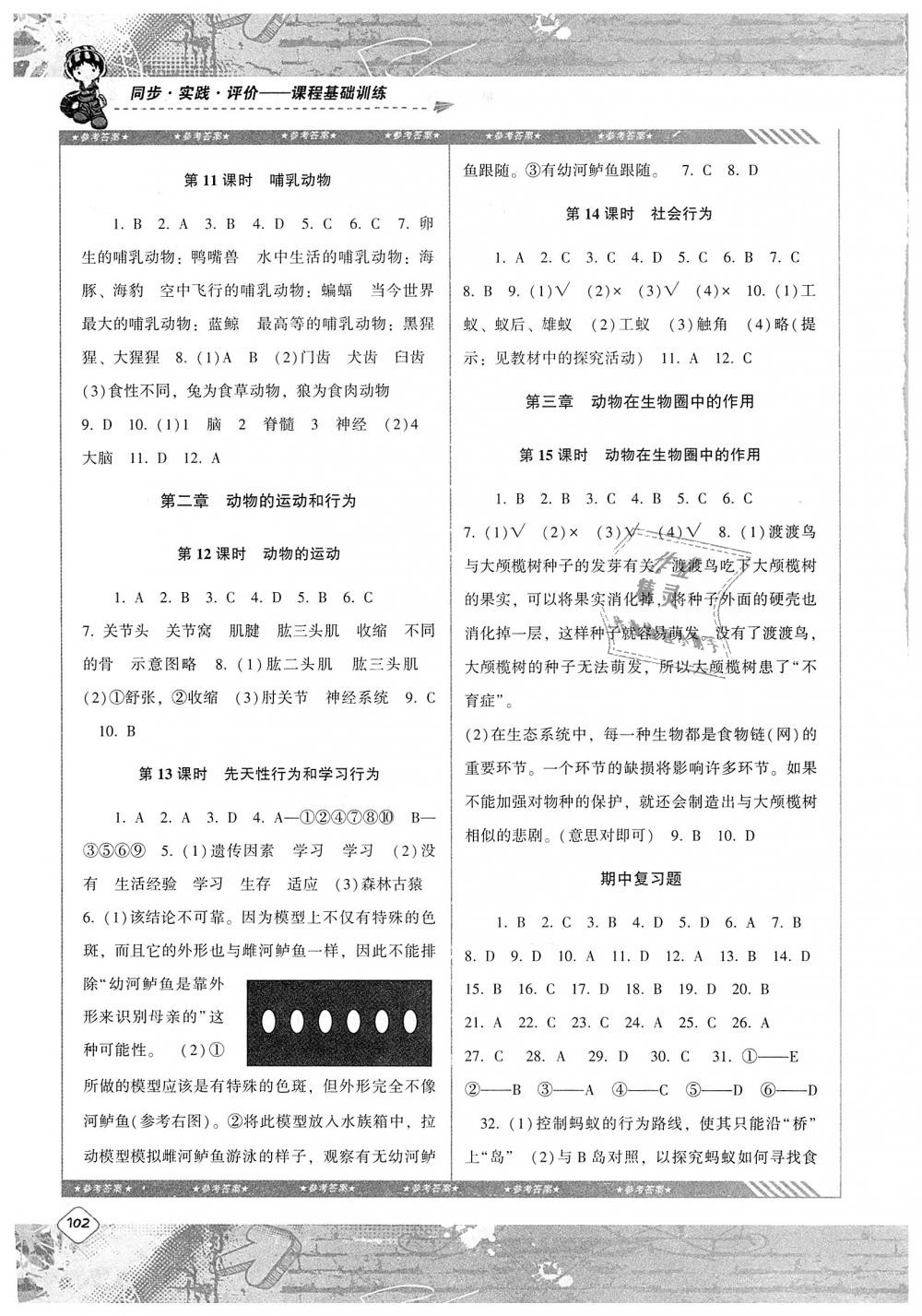 2018年課程基礎訓練八年級生物上冊人教版 第3頁