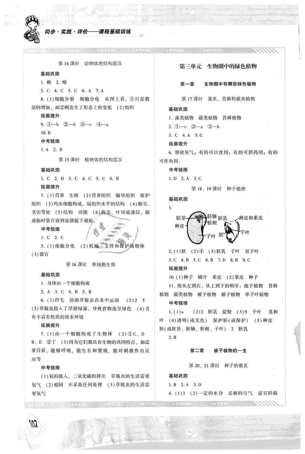 2018年课程基础训练七年级生物上册湖南少年儿童出版社 第4页