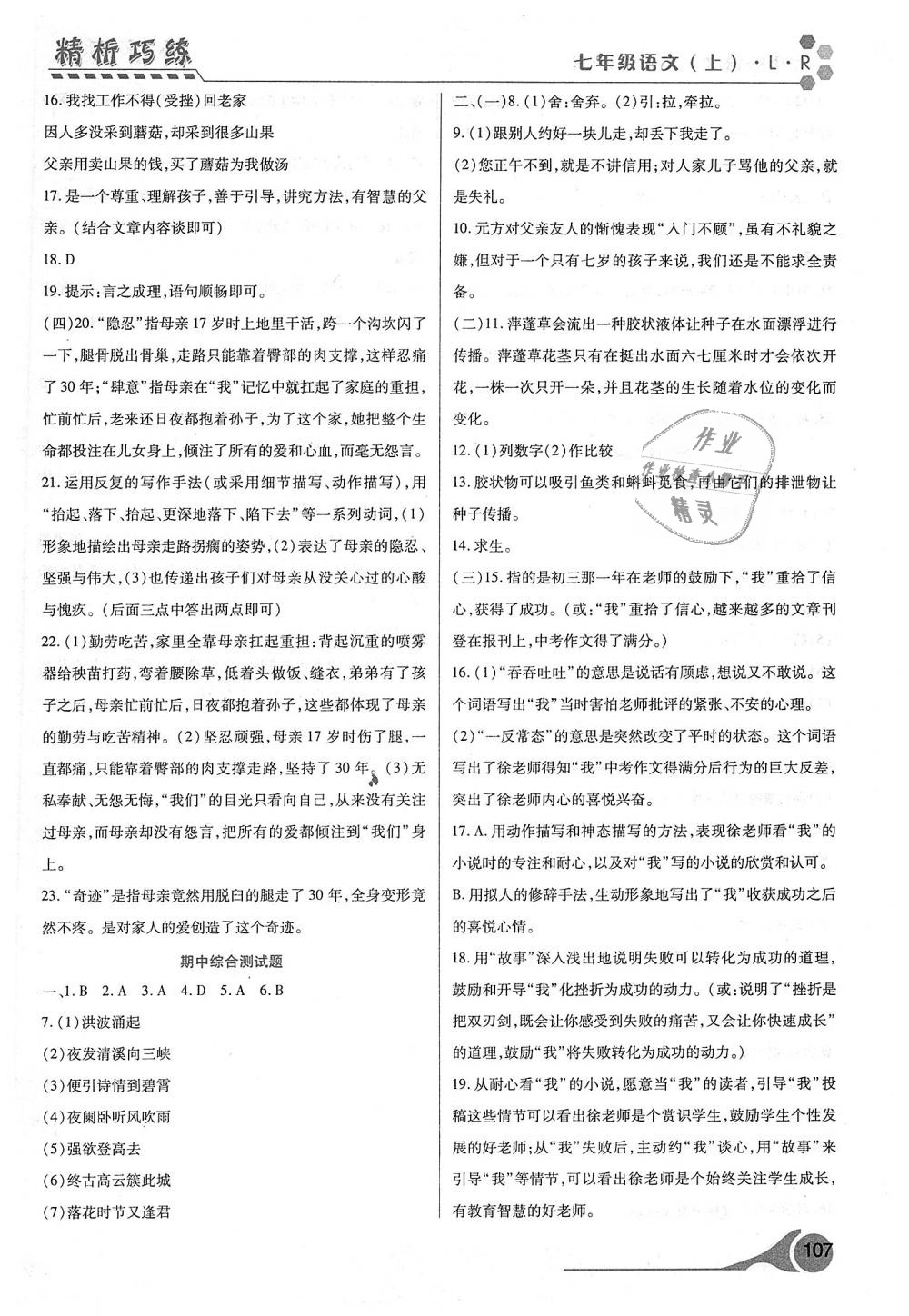 2018年精析巧練階段性驗(yàn)收與測(cè)試語(yǔ)文七年級(jí)上冊(cè)人教版 第17頁(yè)