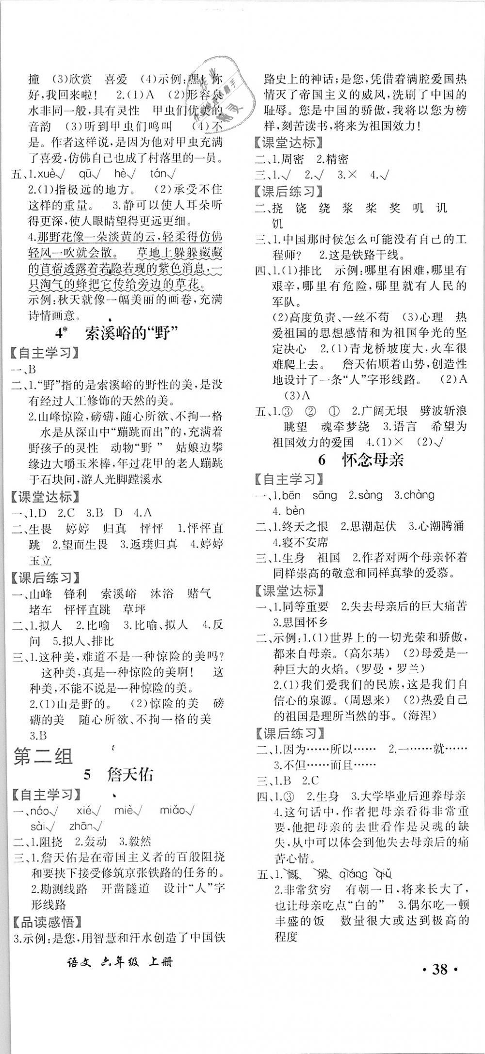 2018年胜券在握同步解析与测评六年级语文上册人教版重庆专版 第2页