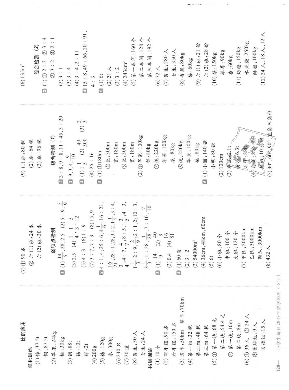 2018年小学生每日20分钟数学弱项六年级上册人教版 第6页