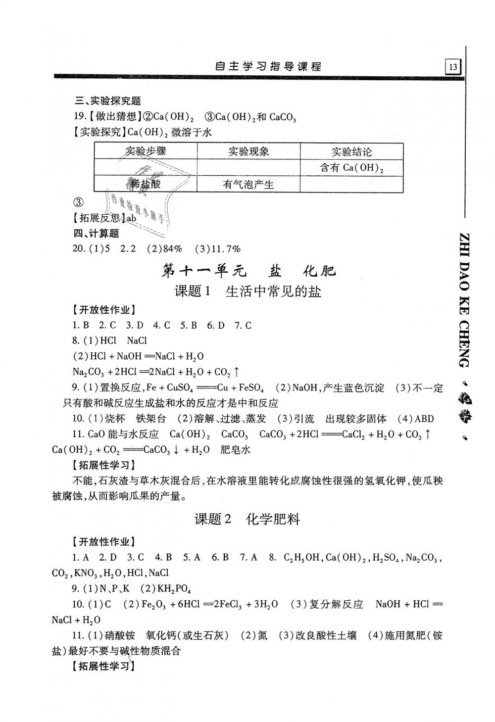 2018年自主學(xué)習(xí)指導(dǎo)課程九年級化學(xué)全一冊 第13頁