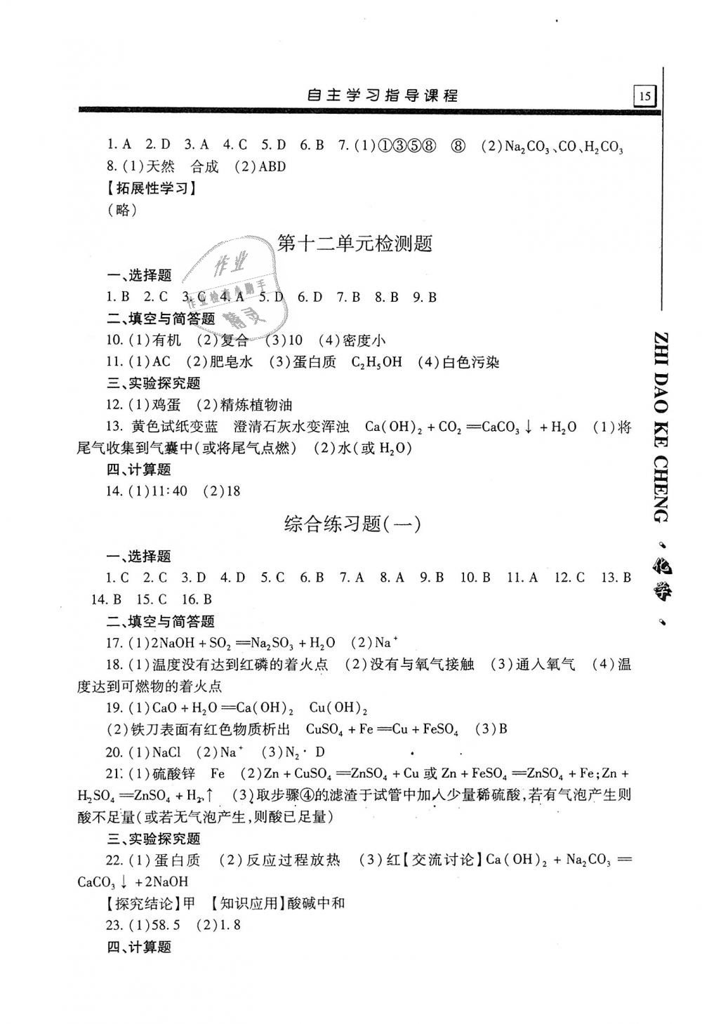 2018年自主學(xué)習(xí)指導(dǎo)課程九年級(jí)化學(xué)全一冊(cè) 第15頁