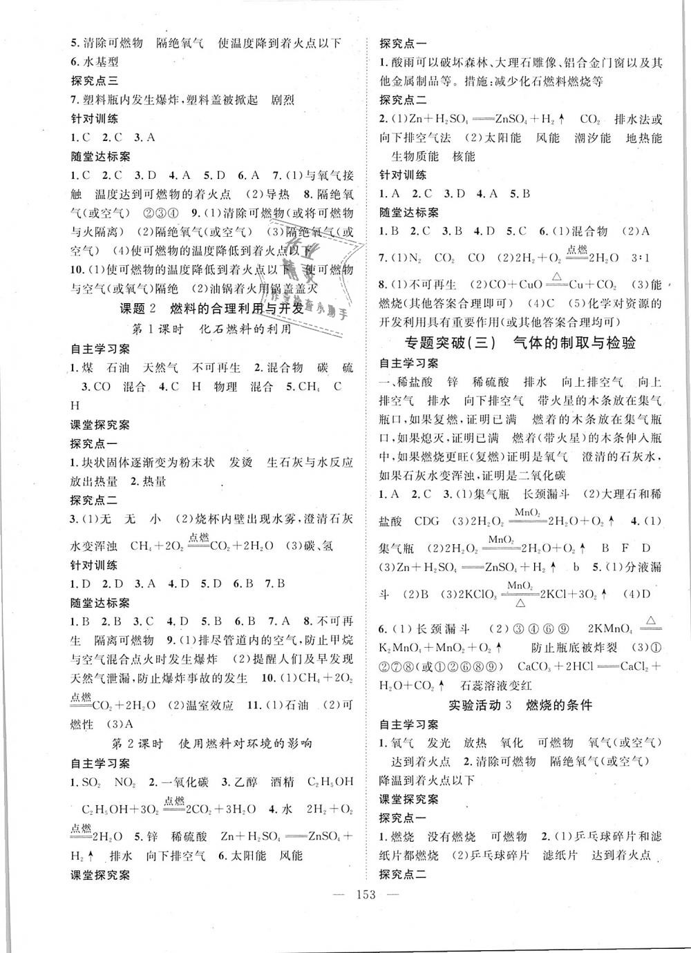 2018年優(yōu)質(zhì)課堂導(dǎo)學(xué)案九年級化學(xué)上冊人教版 第13頁