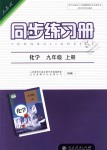 2018年同步練習冊九年級化學上冊人教版人民教育出版社